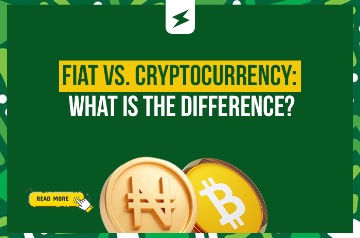 Fiat vs. Cryptocurrency: What Is the Difference?