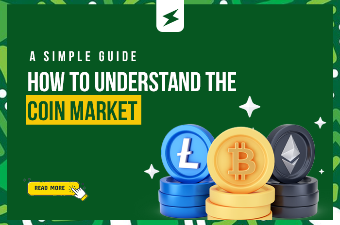 A simple guide to understanding the coin market, featuring Litecoin, Bitcoin, and Ethereum crypto coins.